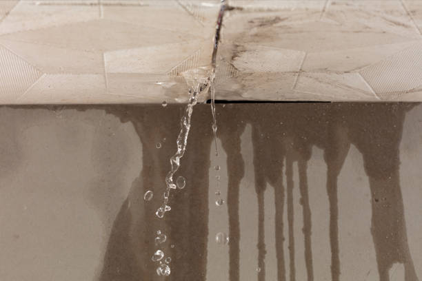 Professional Water Damage Repair technician working in Edmonson, TX